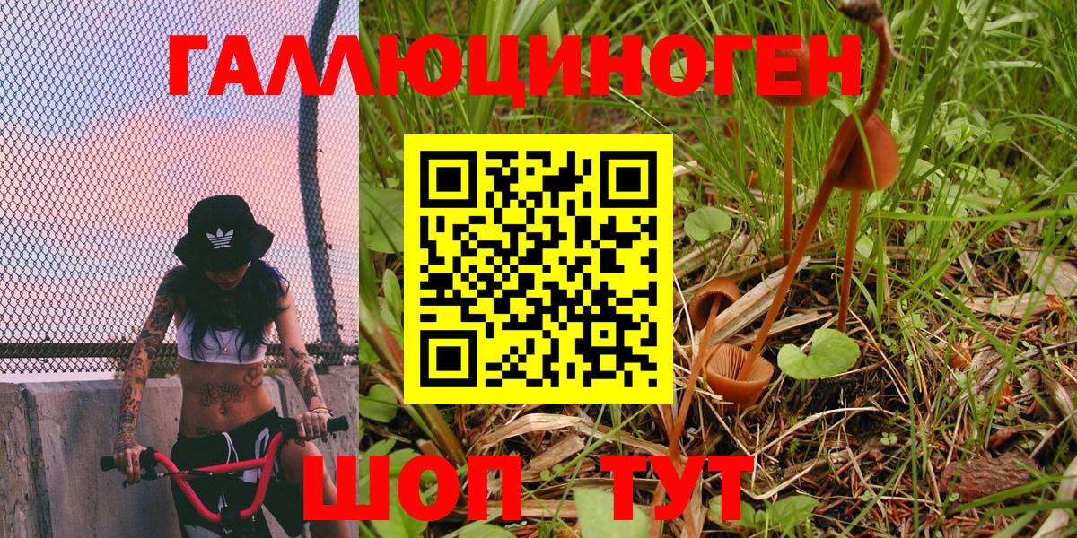 Псилоцибиновые грибы Psilocybe  Вход с VPN  Мичуринск 