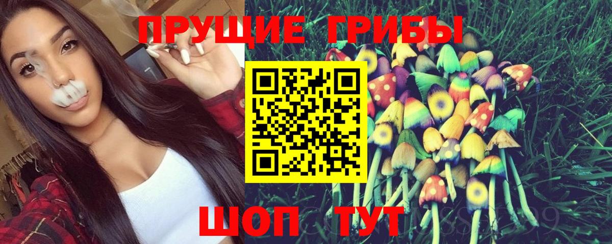 Псилоцибиновые грибы GOLDEN TEACHER Мичуринск